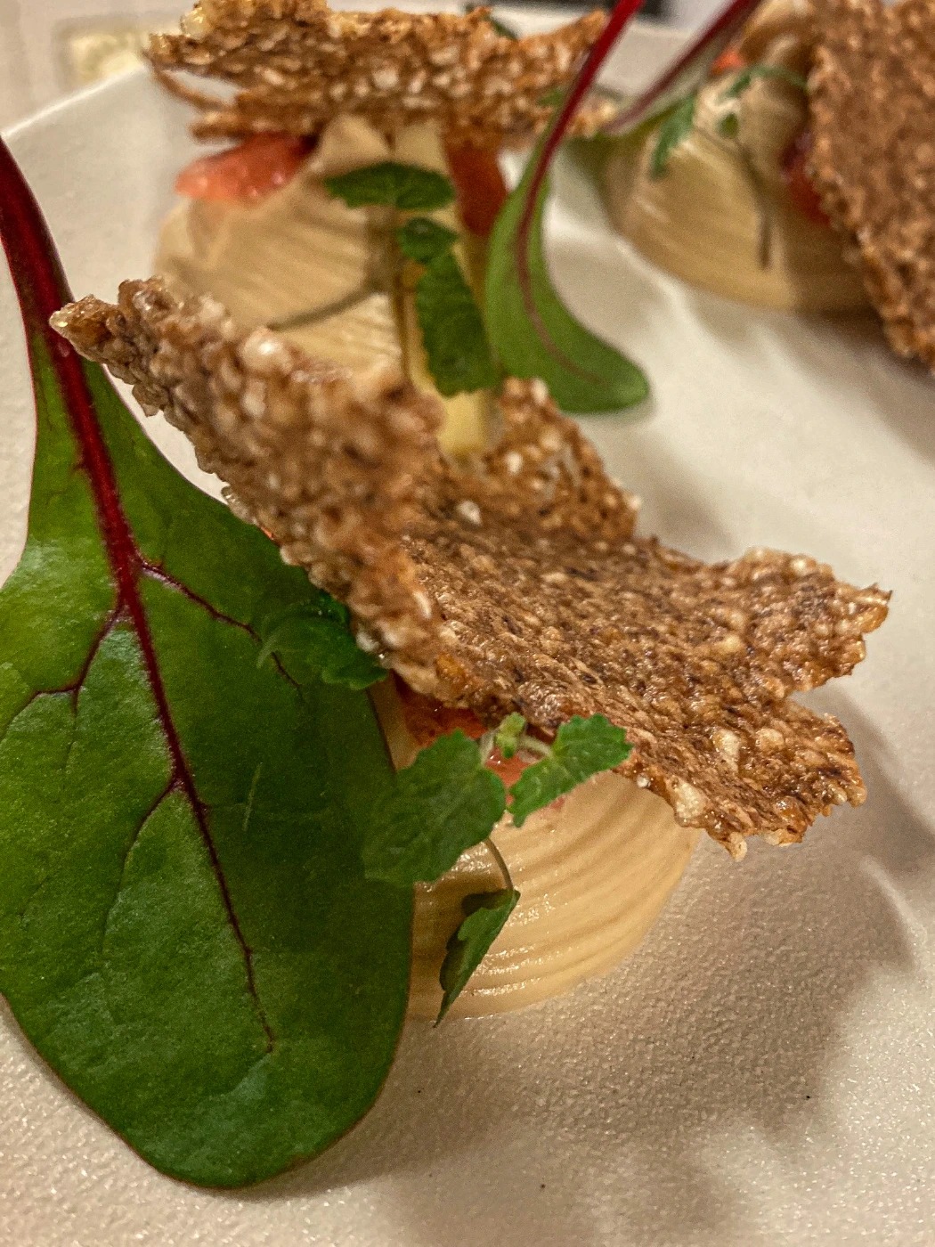 IMG_5484.JPG IMG_5484.JPG