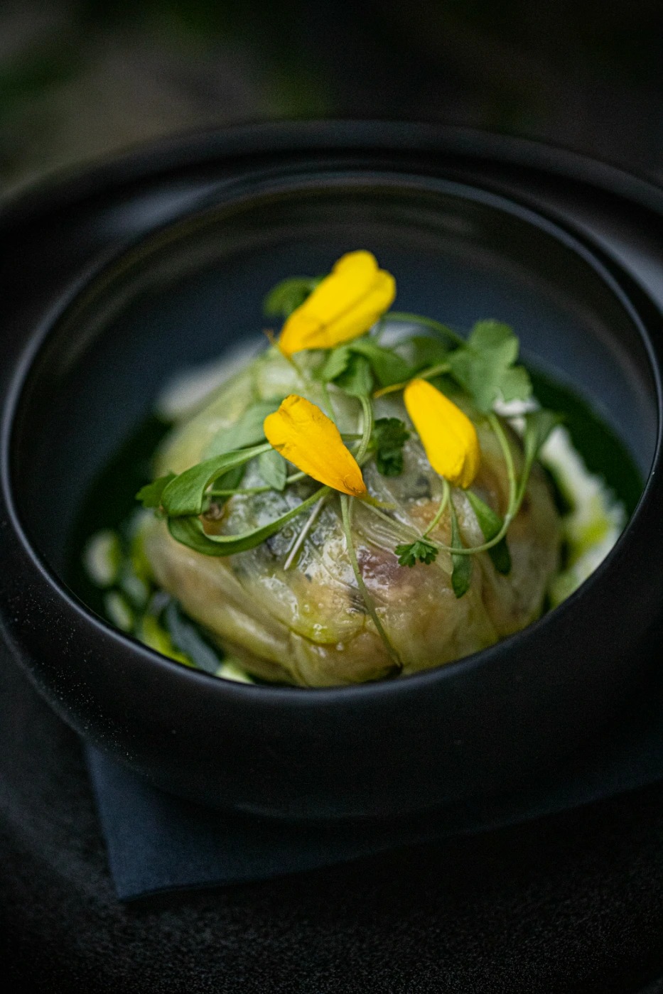 entree story 3.JPG entree story 3.JPG