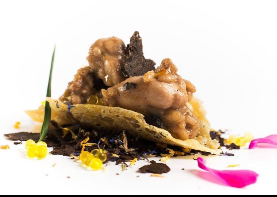 IMG_1242.jpeg IMG_1242.jpeg