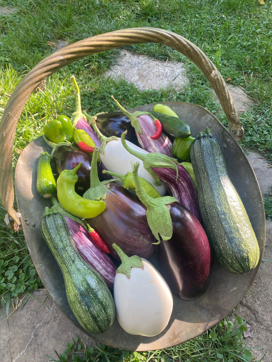 a2012b99-7bfa-497f-8c2b-f7b067d611cb.jpeg a2012b99-7bfa-497f-8c2b-f7b067d611cb.jpeg