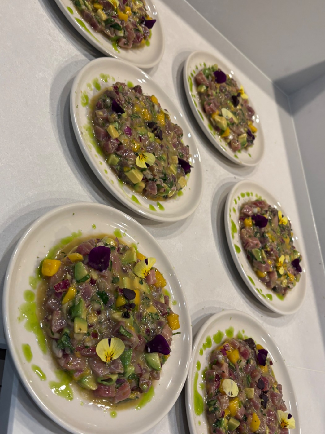 IMG_1336.jpeg IMG_1336.jpeg