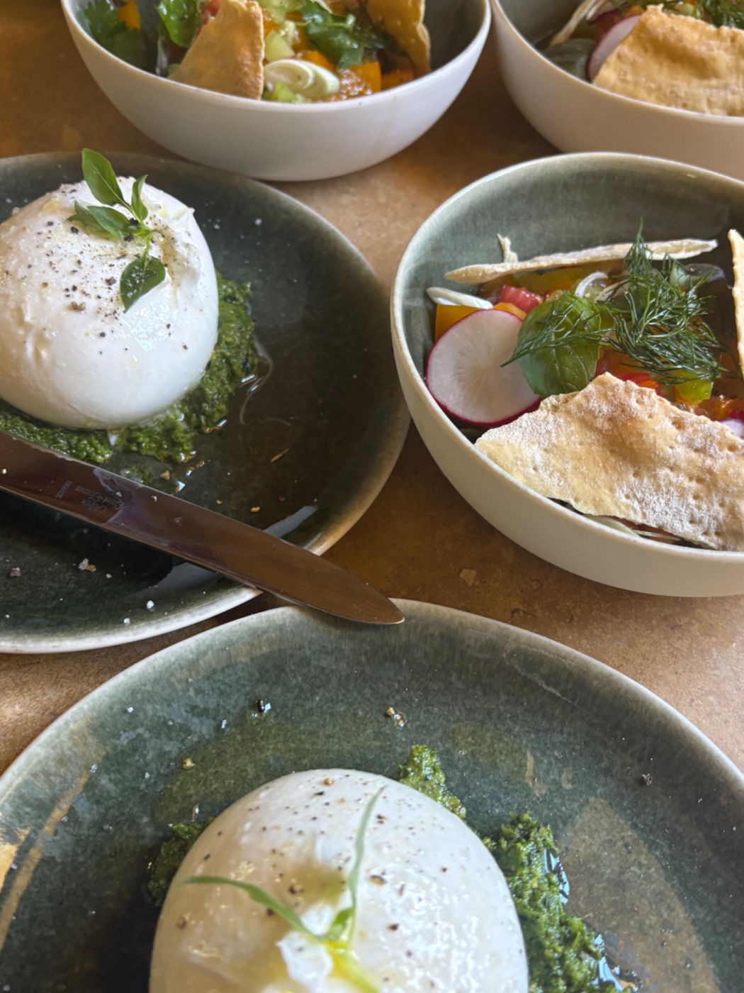 IMG_5123.jpeg IMG_5123.jpeg