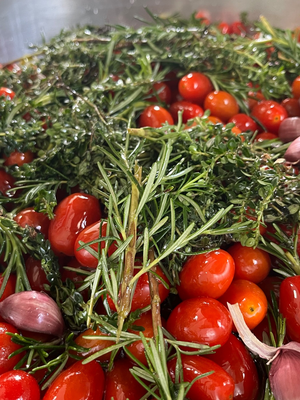 IMG_7928.jpeg IMG_7928.jpeg