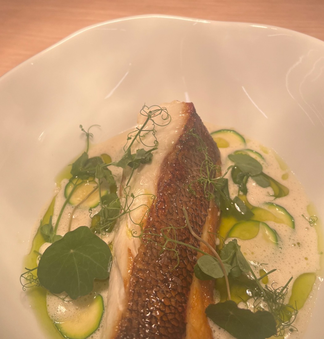 IMG_2483.jpeg IMG_2483.jpeg