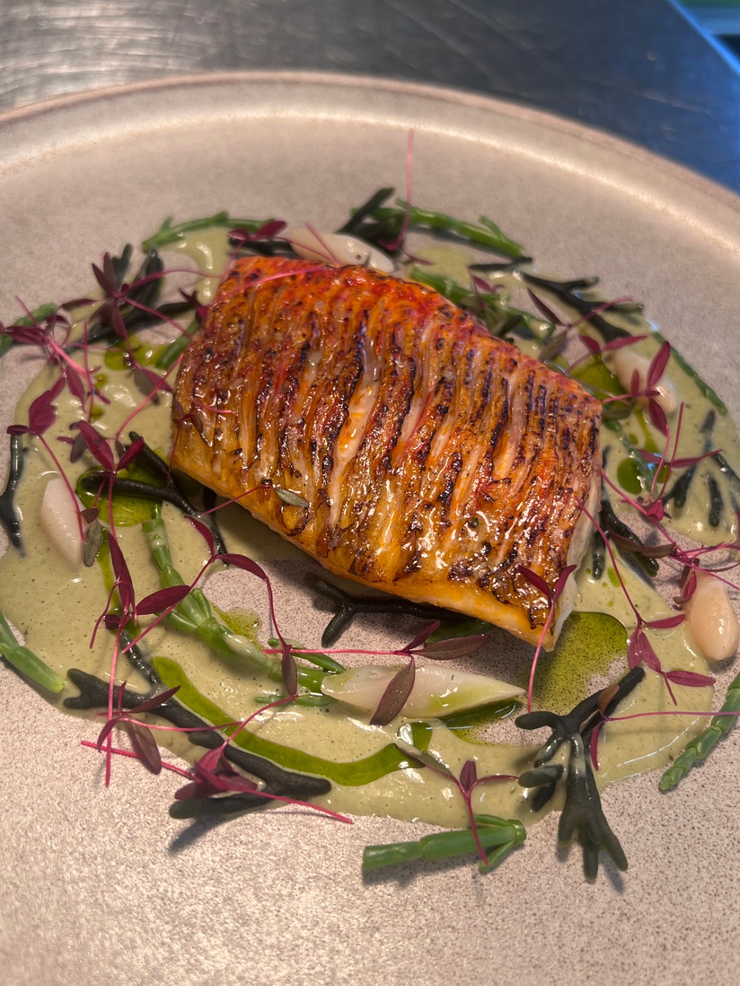 IMG_6264.jpeg IMG_6264.jpeg