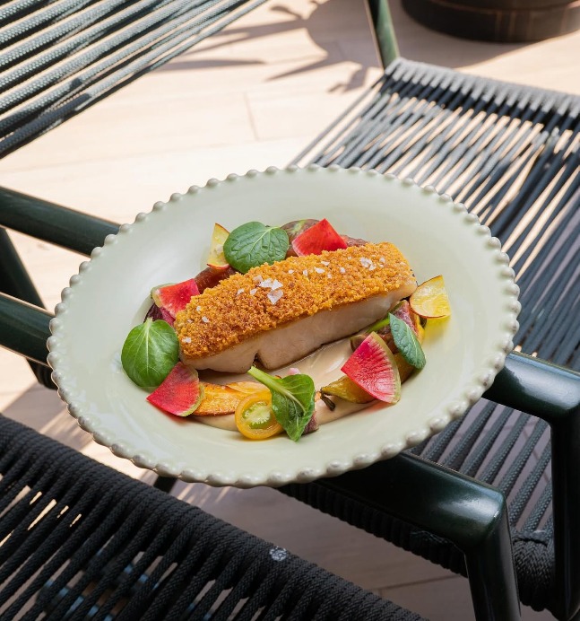 IMG_1765.png IMG_1765.png