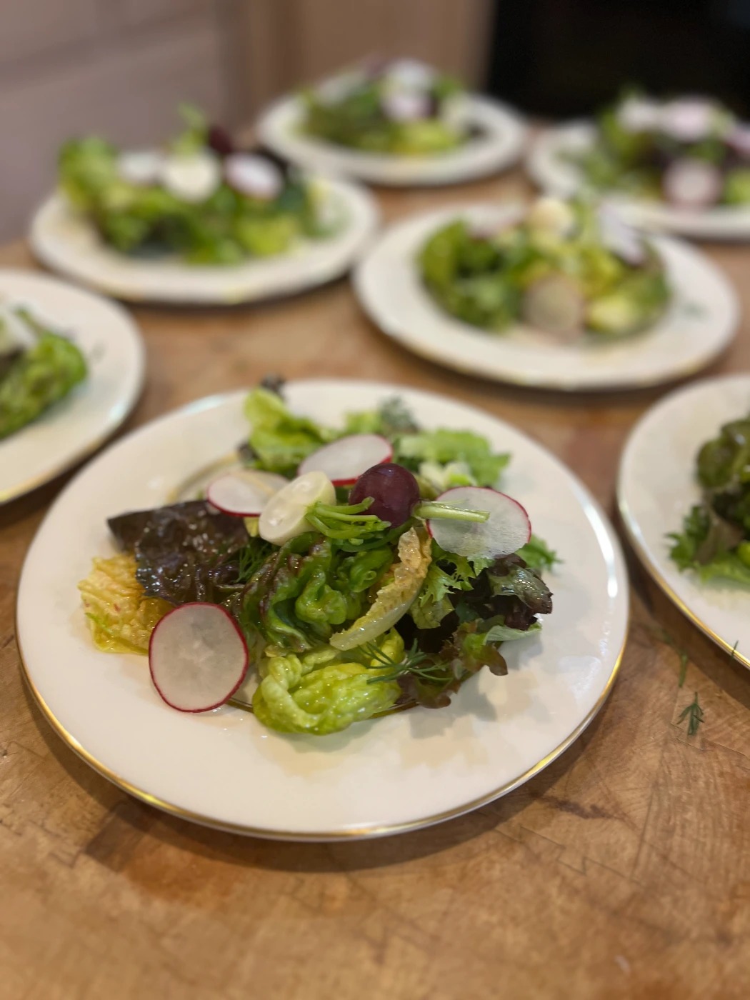 IMG_3869.jpeg IMG_3869.jpeg