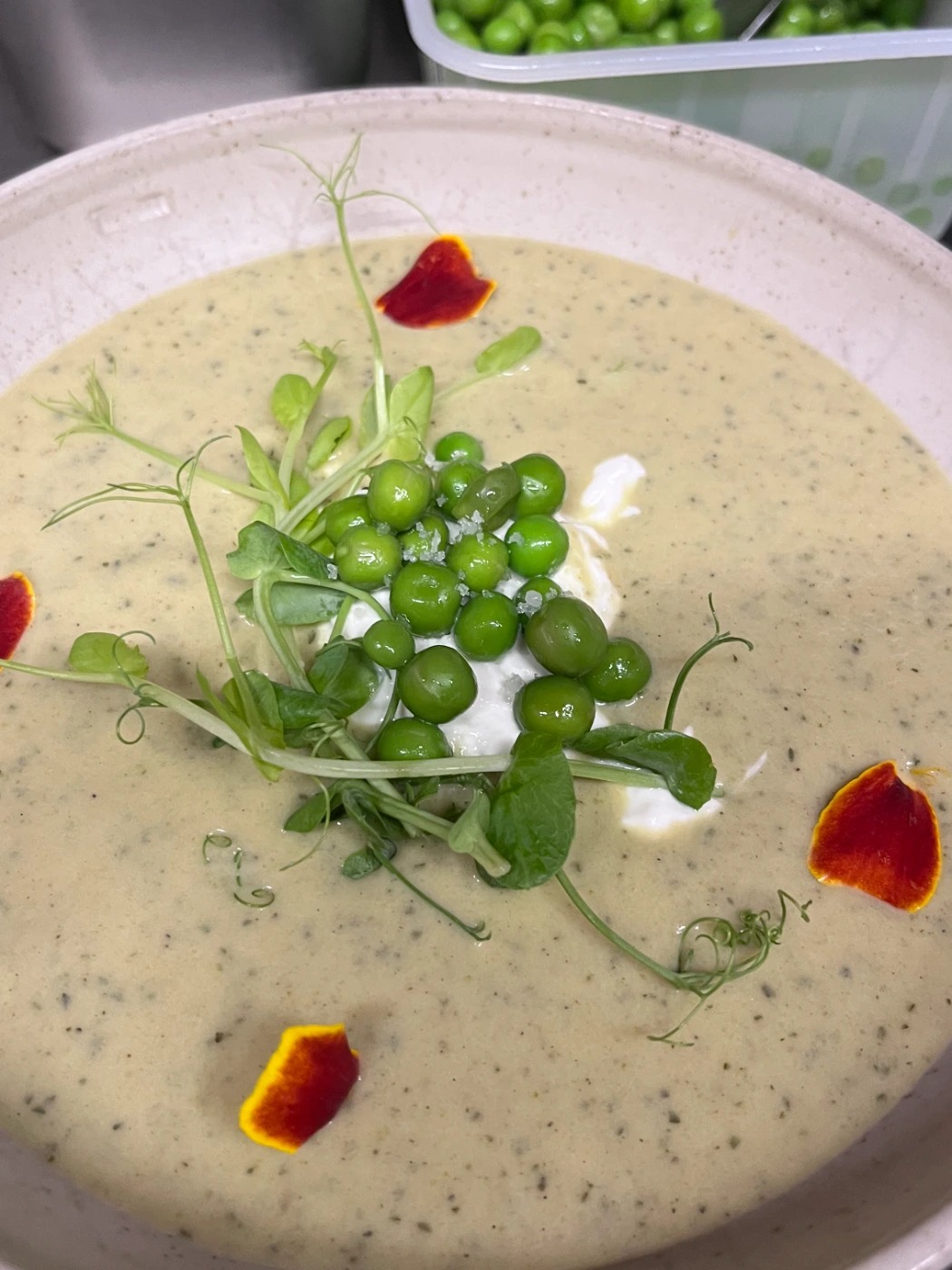 IMG_4498.jpeg IMG_4498.jpeg