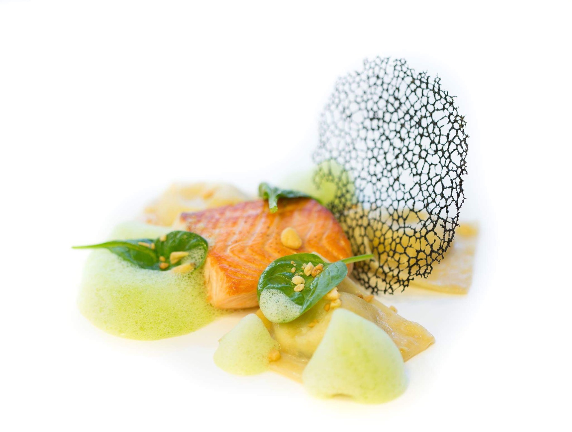 IMG_0828.jpeg IMG_0828.jpeg