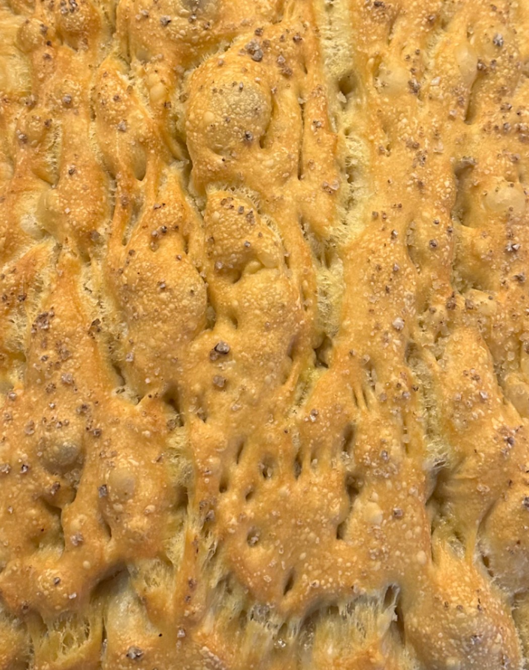 IMG_7308.jpeg IMG_7308.jpeg