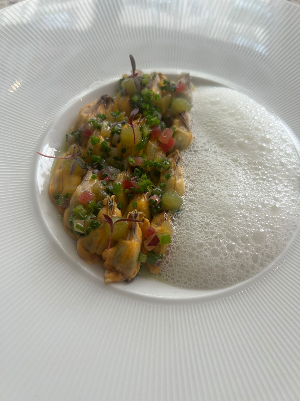 WhatsApp Image 2025-09-13 at 16.56.03.jpeg WhatsApp Image 2025-09-13 at 16.56.03.jpeg