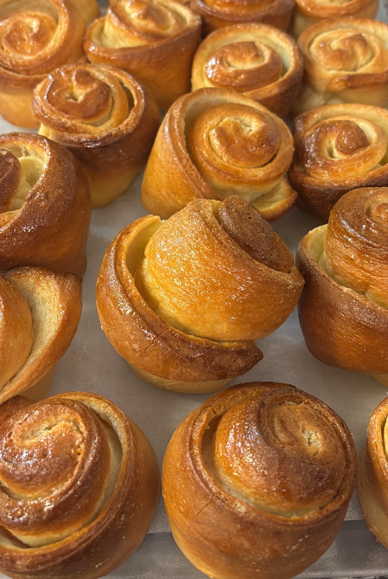 A979974A-7C40-435D-BC0B-D9BDE6E61F6A.jpeg A979974A-7C40-435D-BC0B-D9BDE6E61F6A.jpeg