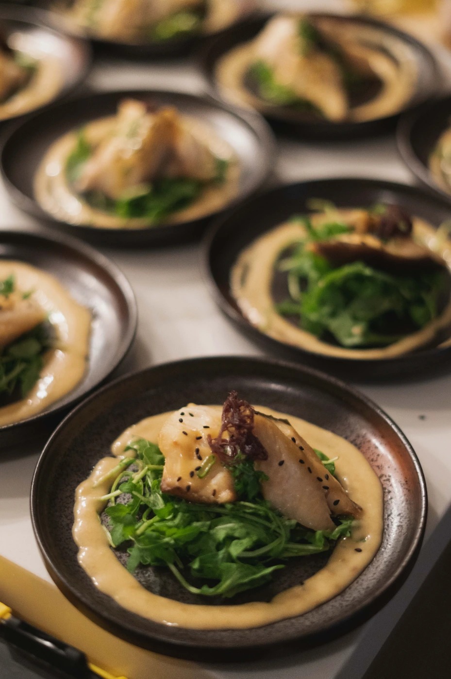 A7R01755.jpg.jpg A7R01755.jpg.jpg