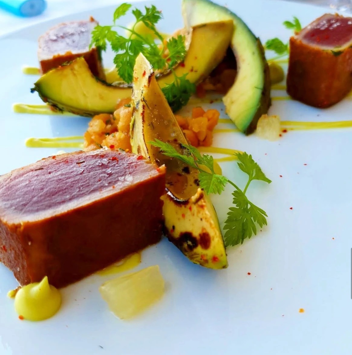 IMG_E1164.JPG IMG_E1164.JPG