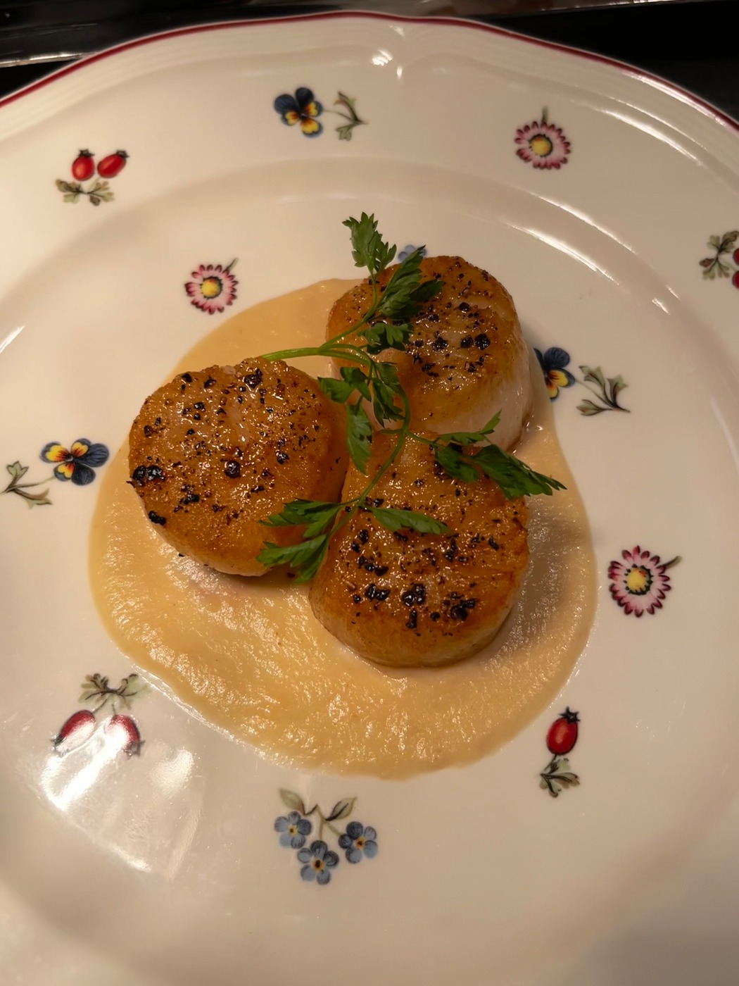 IMG_0154.jpeg IMG_0154.jpeg