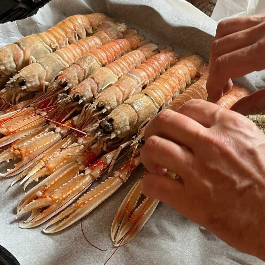 1000020324.jpg 1000020324.jpg