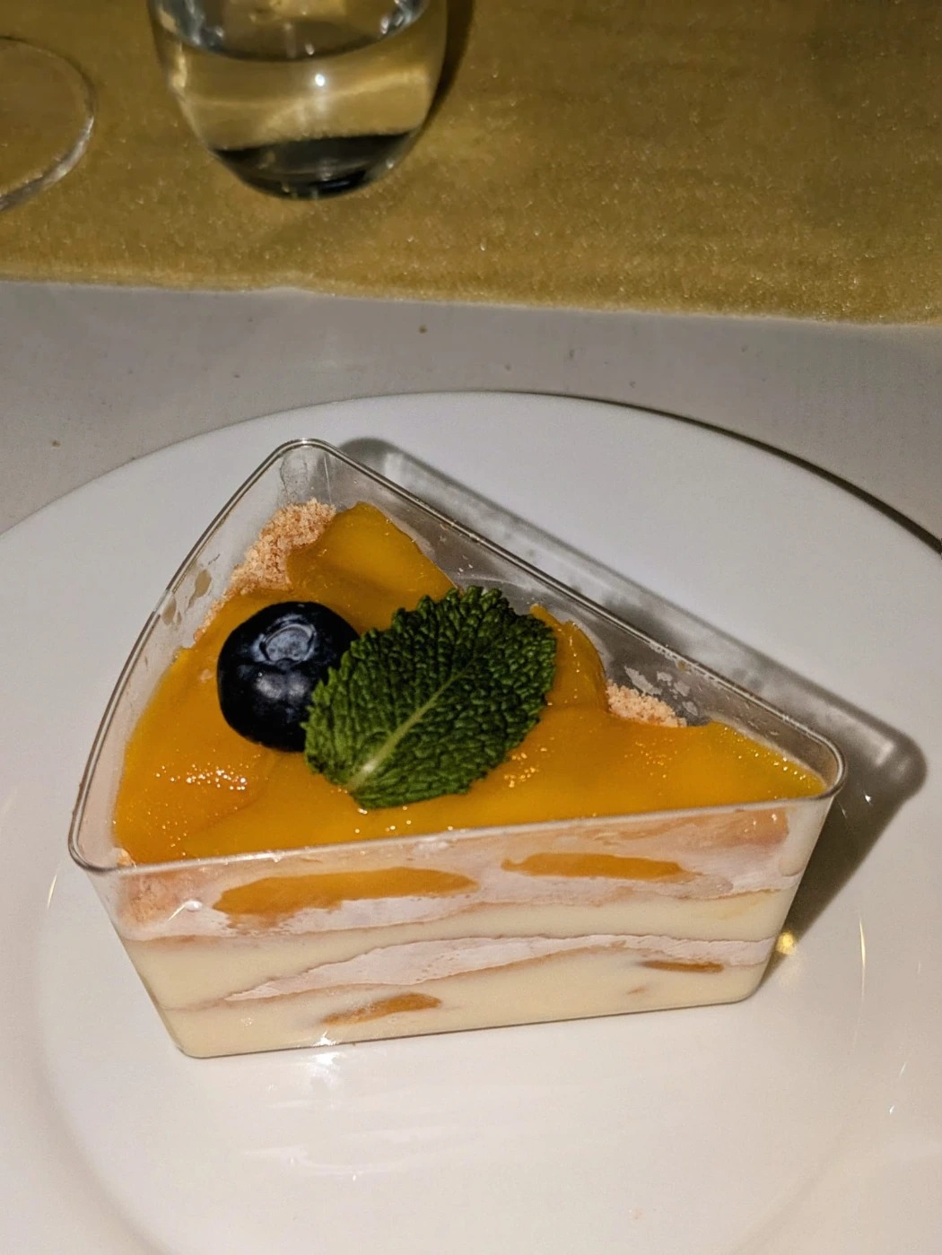 WhatsApp Image 2025-09-21 at 12.56.44 PM.jpeg