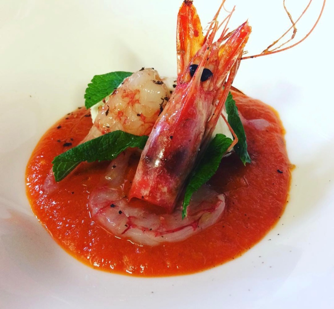 IMG_0241.jpg IMG_0241.jpg