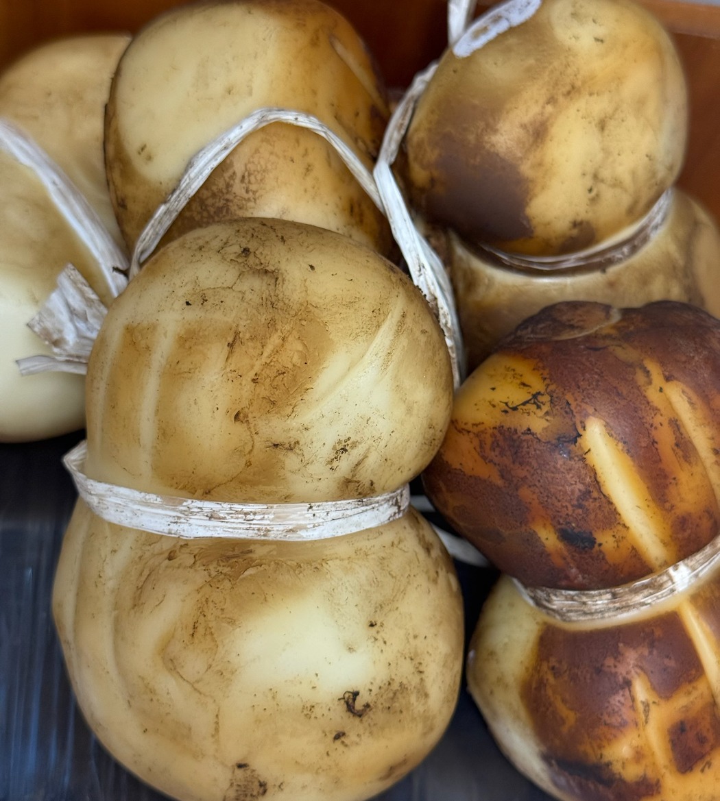 IMG_4848.heic IMG_4848.heic