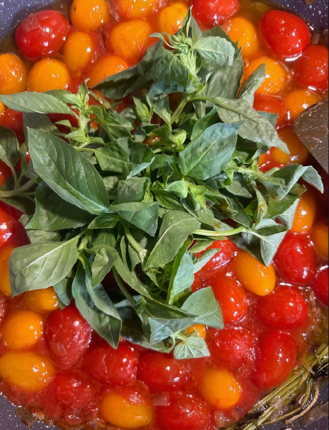 IMG_2404.jpeg IMG_2404.jpeg