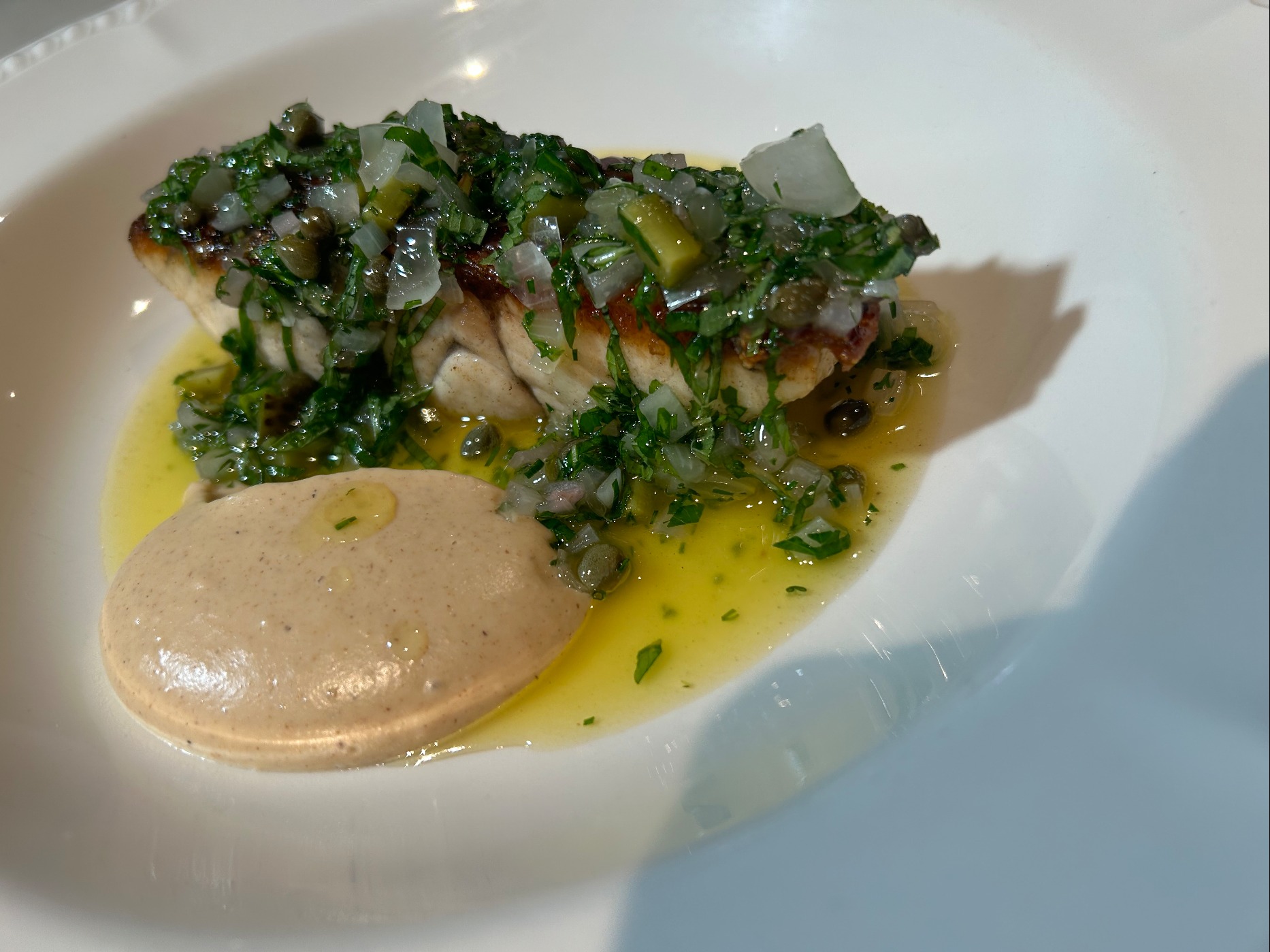 IMG_0146.jpeg IMG_0146.jpeg