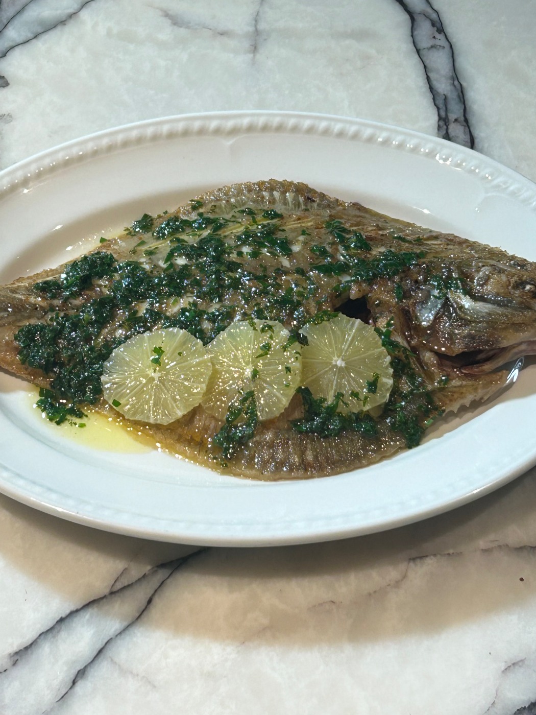 IMG_0148.jpeg IMG_0148.jpeg