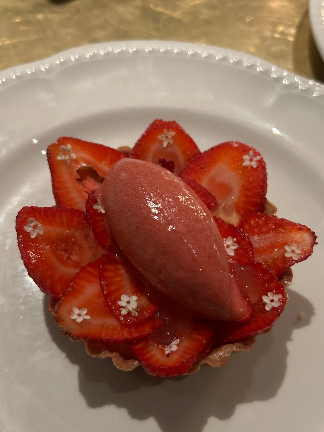 IMG_0818.jpeg IMG_0818.jpeg