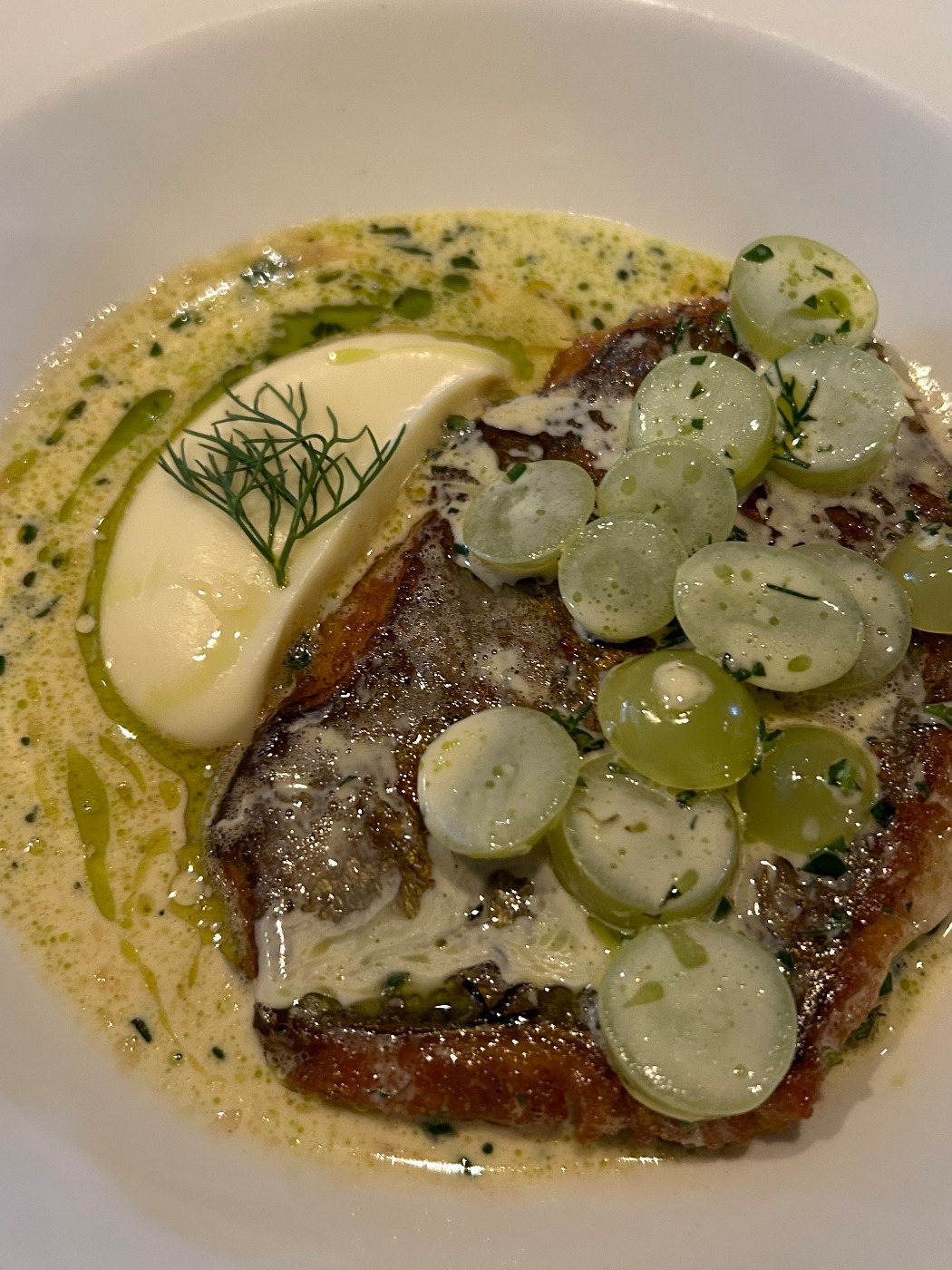 IMG_0971.jpeg IMG_0971.jpeg