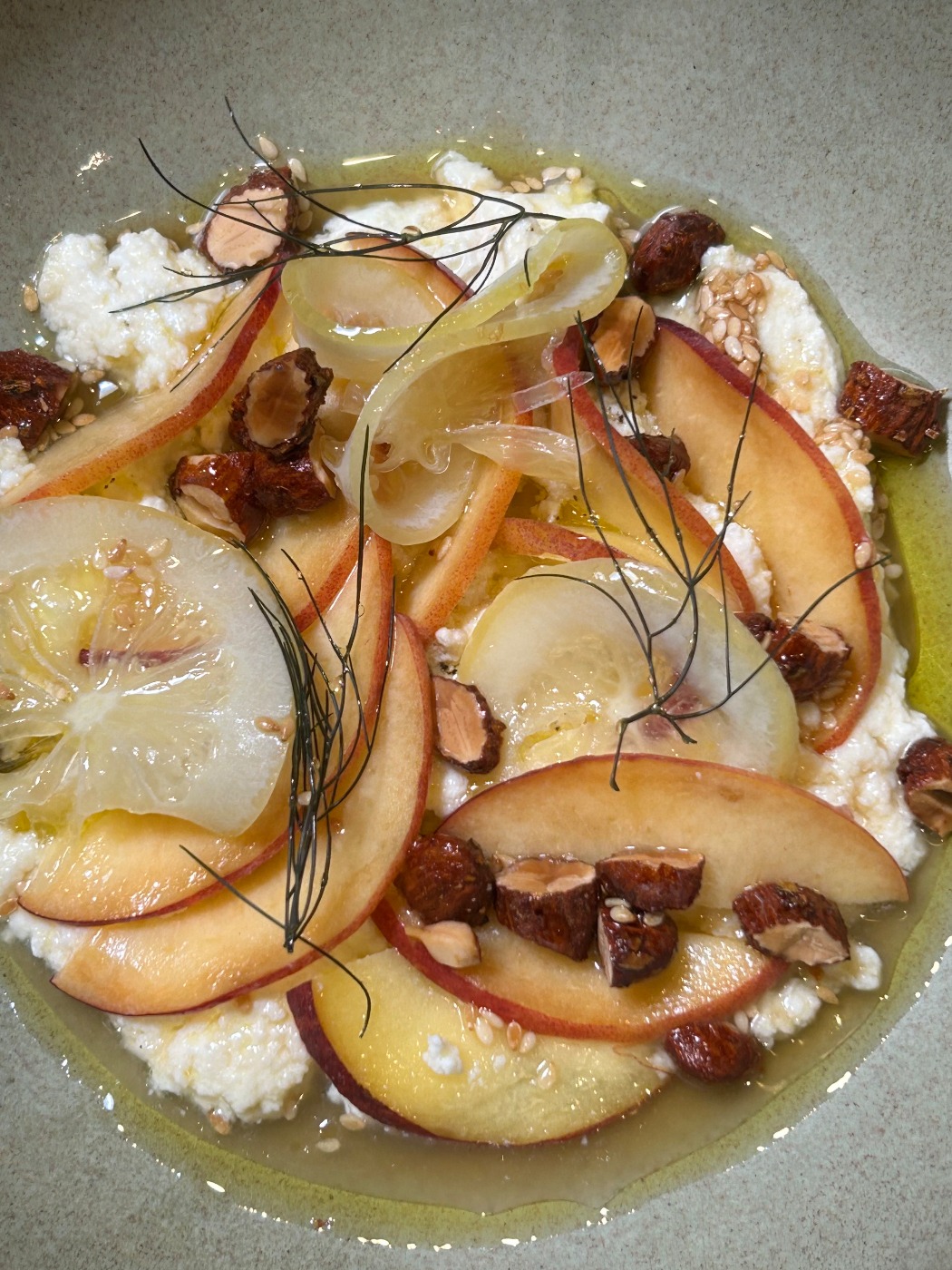 IMG_1022.jpeg IMG_1022.jpeg