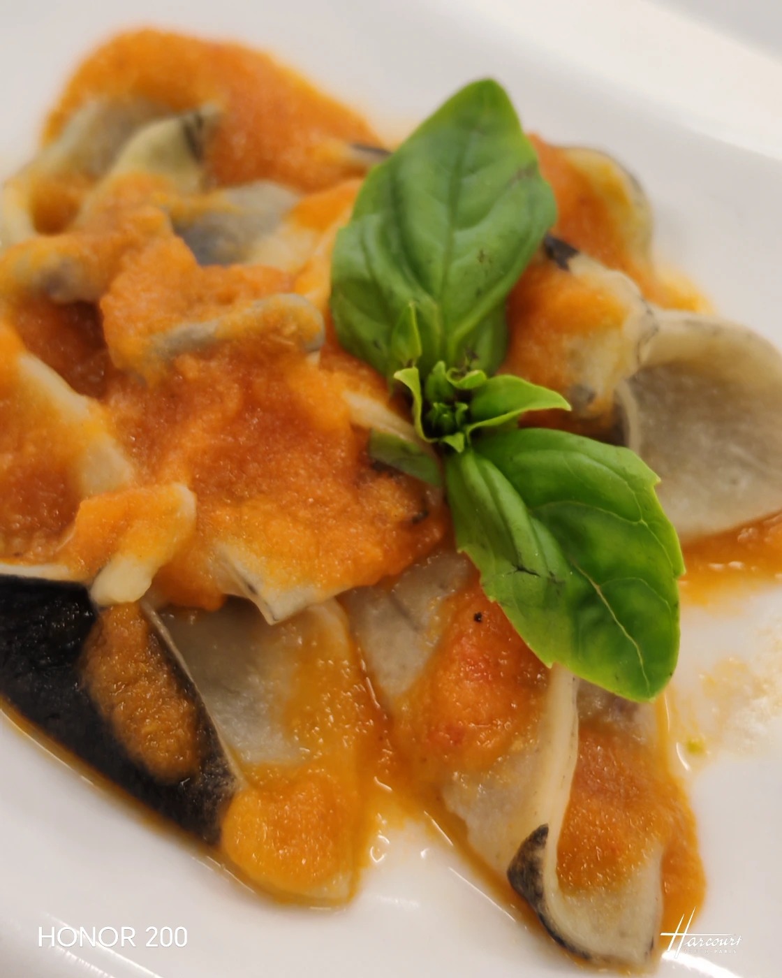 1000121046.jpg 1000121046.jpg