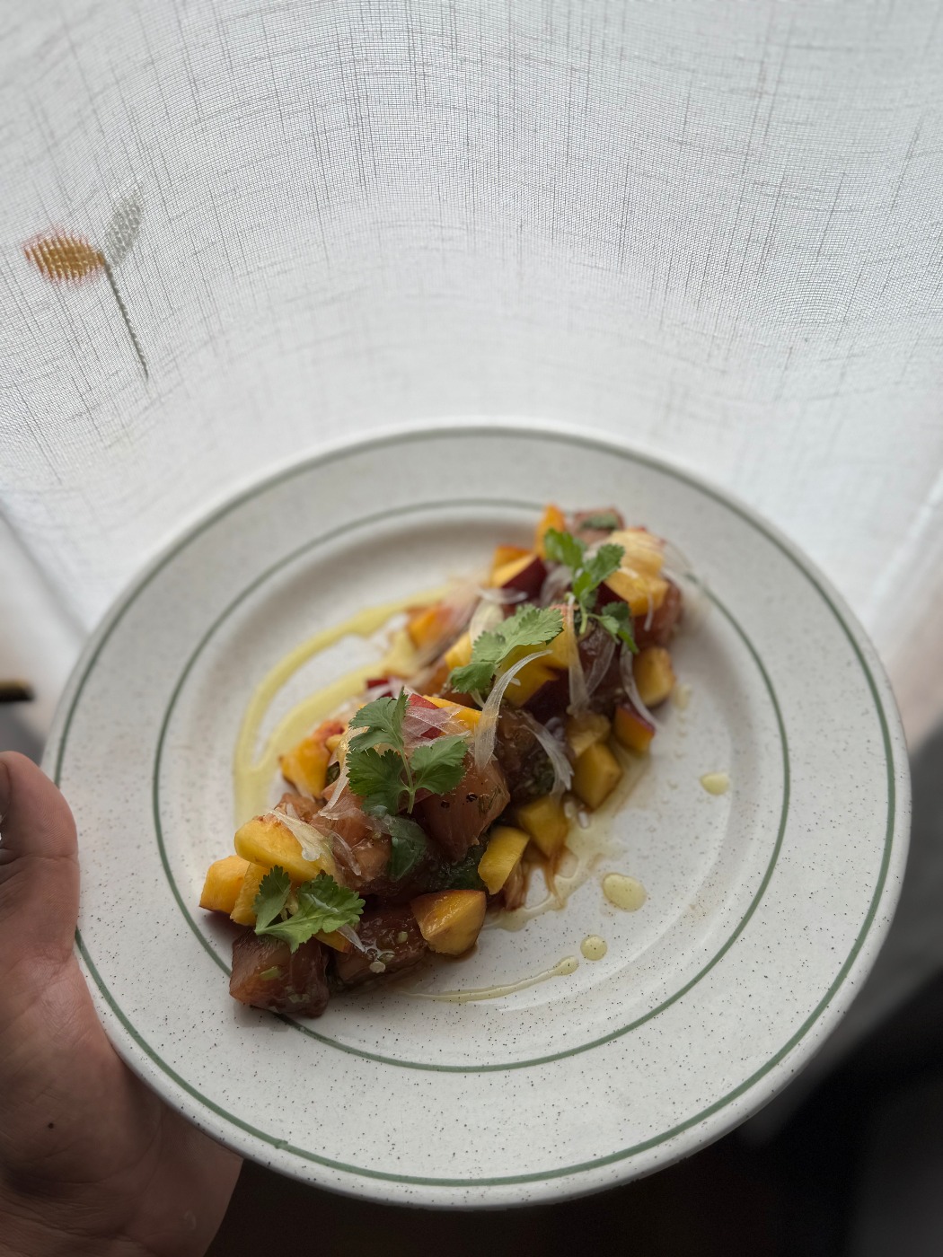 IMG_3297.jpeg IMG_3297.jpeg