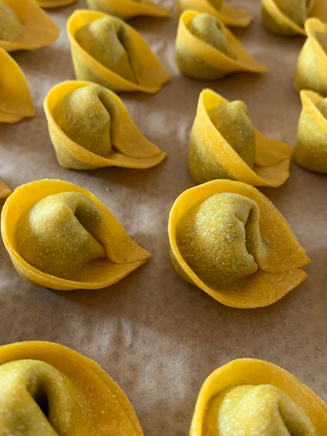 IMG_6781.jpeg IMG_6781.jpeg