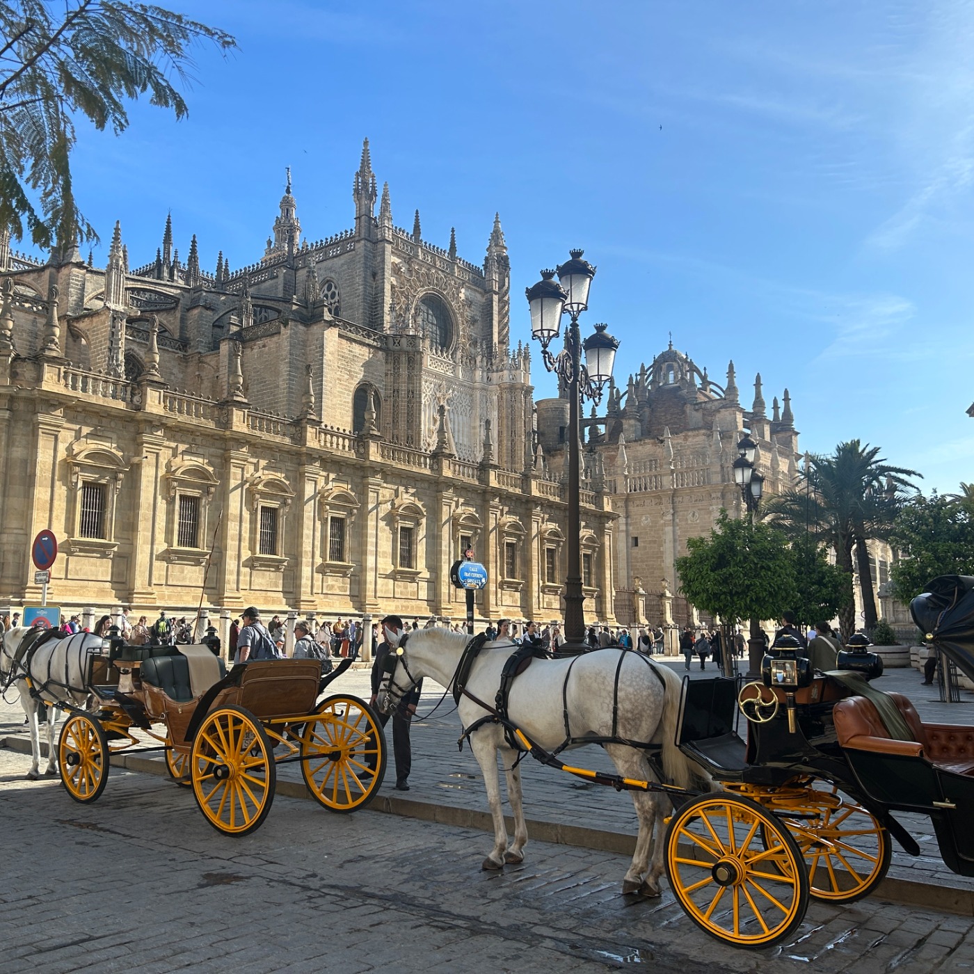 IMG_1018.jpeg IMG_1018.jpeg