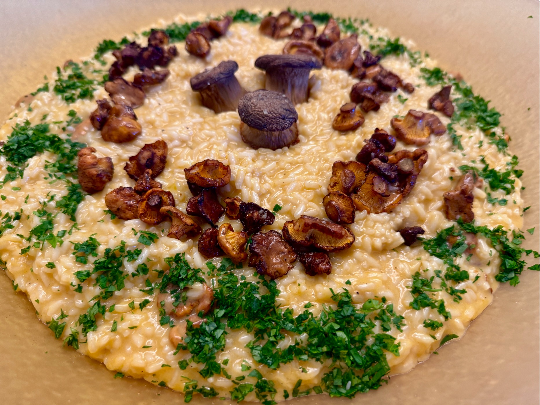 IMG_0679.jpeg IMG_0679.jpeg