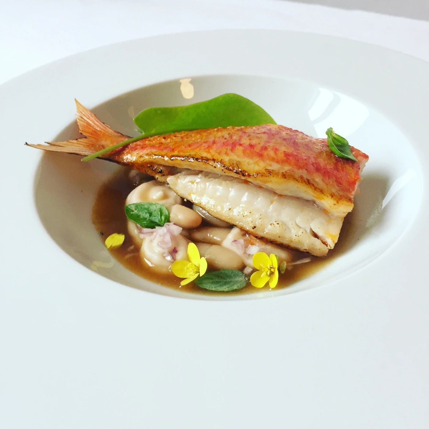 chef a domicilio _ triglie.jpg