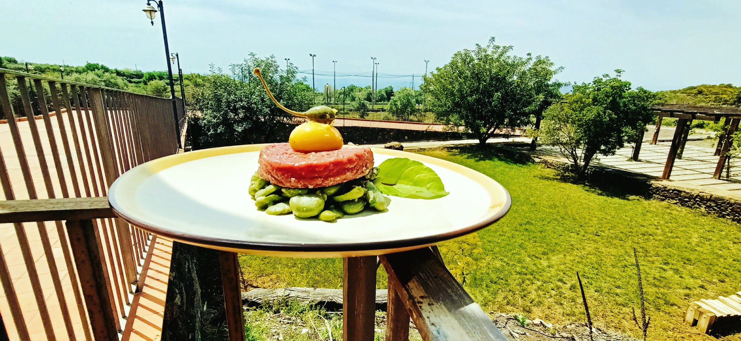 IMG_20250504_170633.jpg IMG_20250504_170633.jpg