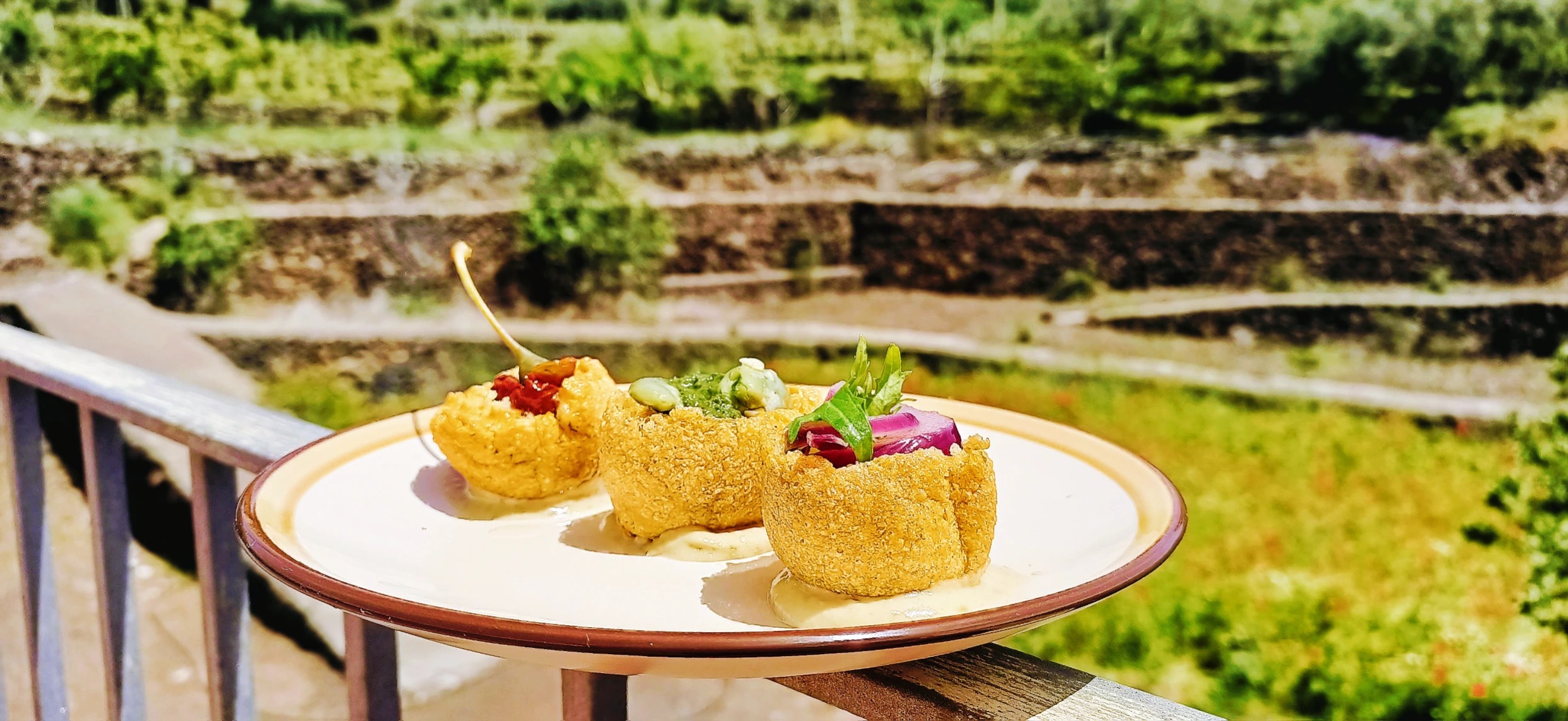 IMG_20250504_170335.jpg IMG_20250504_170335.jpg