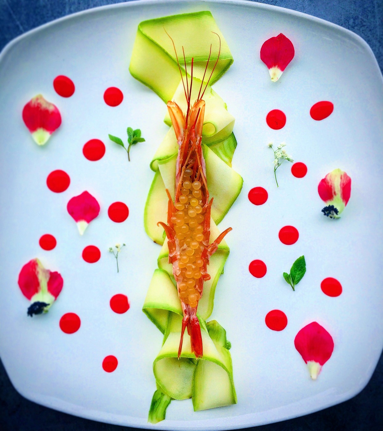 27D15B8F-AFEA-4BEF-B6C7-7DE38467010C.jpeg 27D15B8F-AFEA-4BEF-B6C7-7DE38467010C.jpeg