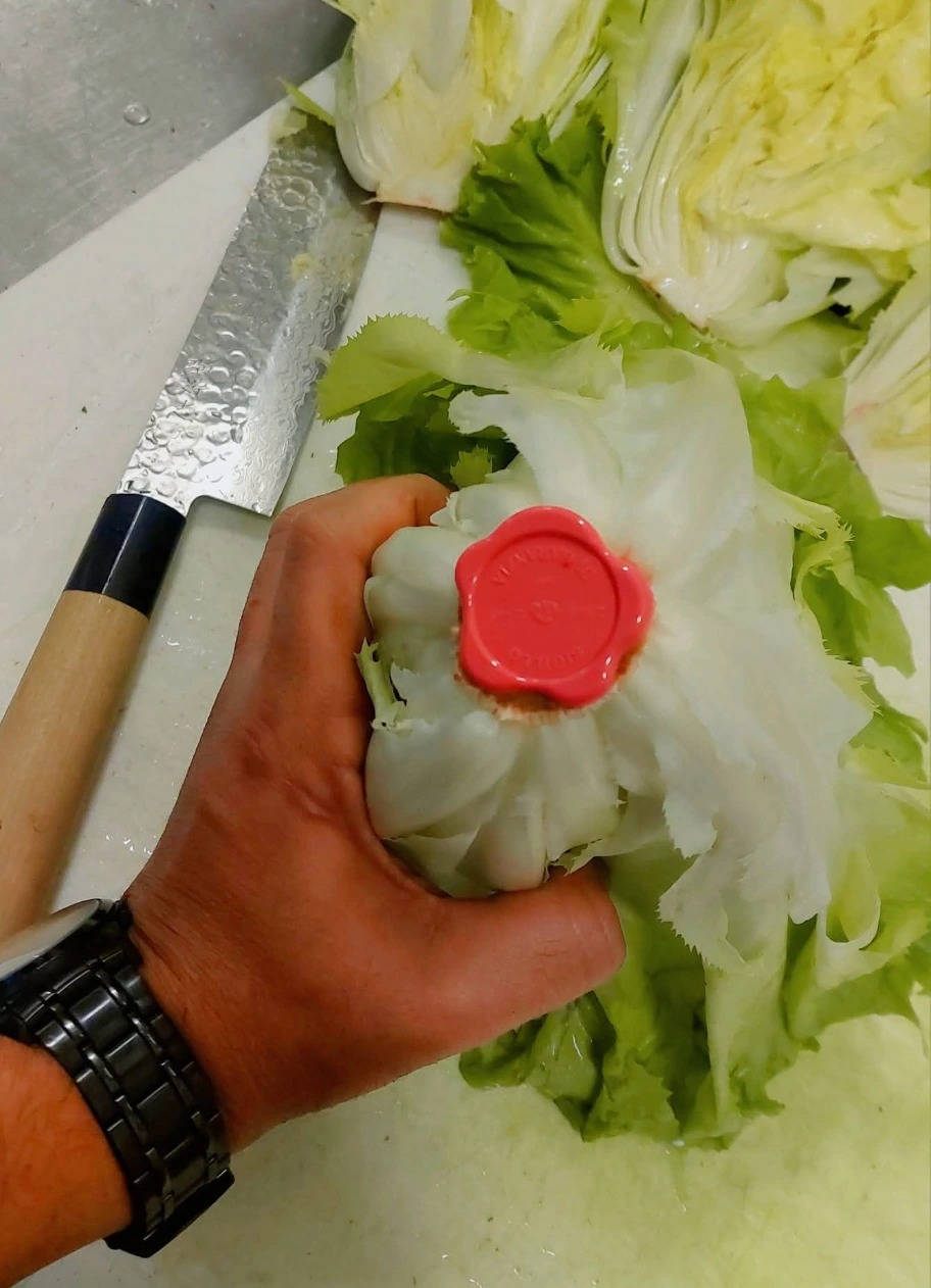 1000072088.jpg 1000072088.jpg