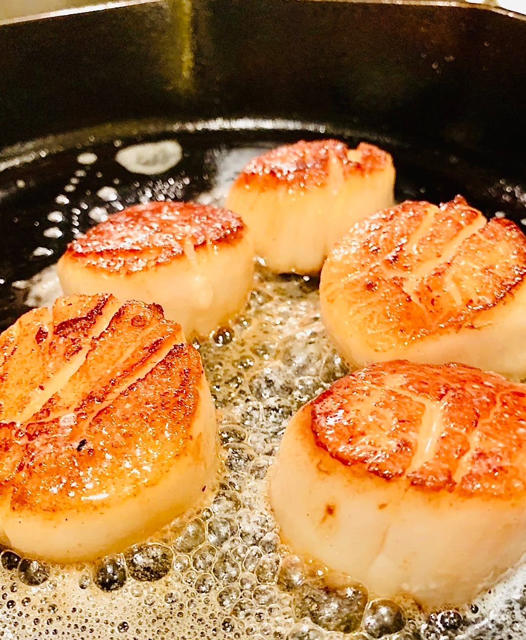 IMG_0780.jpeg IMG_0780.jpeg