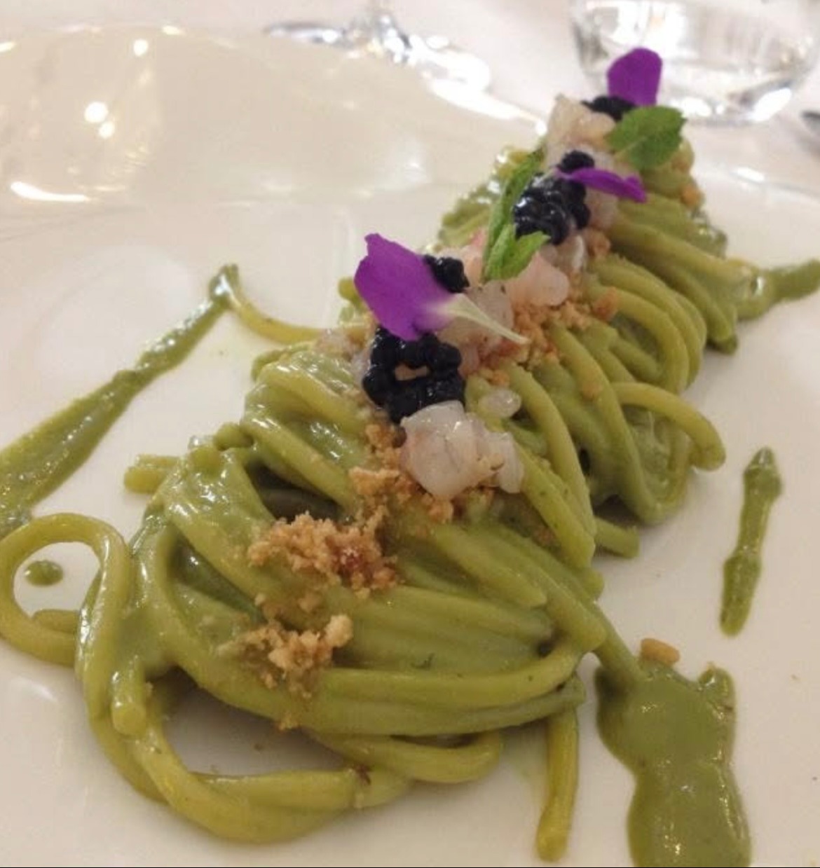 IMG_0262.jpeg IMG_0262.jpeg