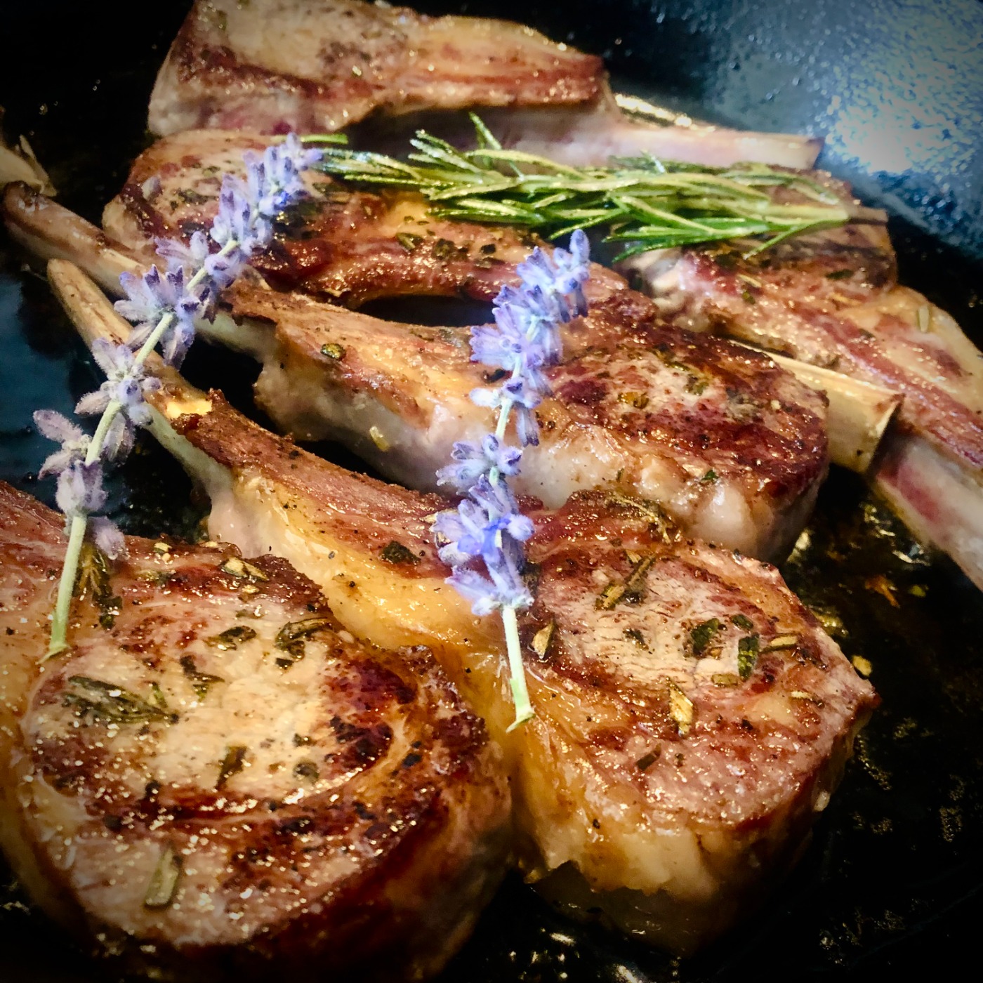 IMG_0952.jpeg IMG_0952.jpeg