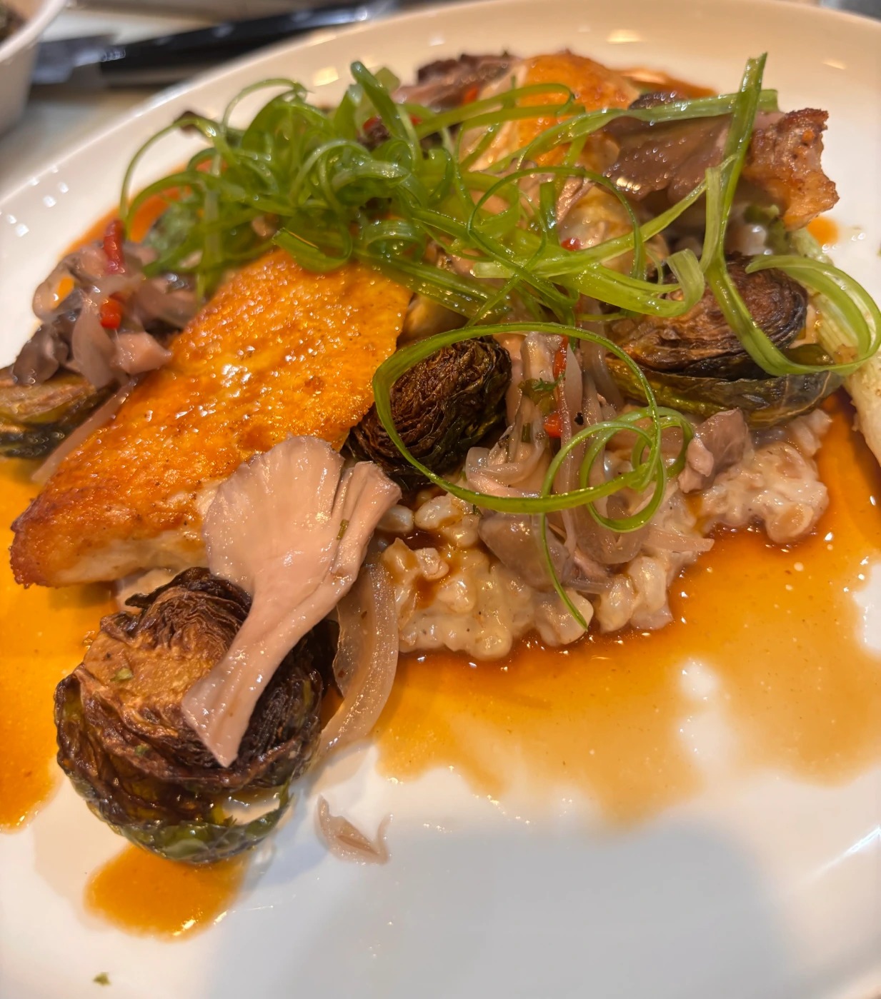 IMG_2014.jpeg IMG_2014.jpeg