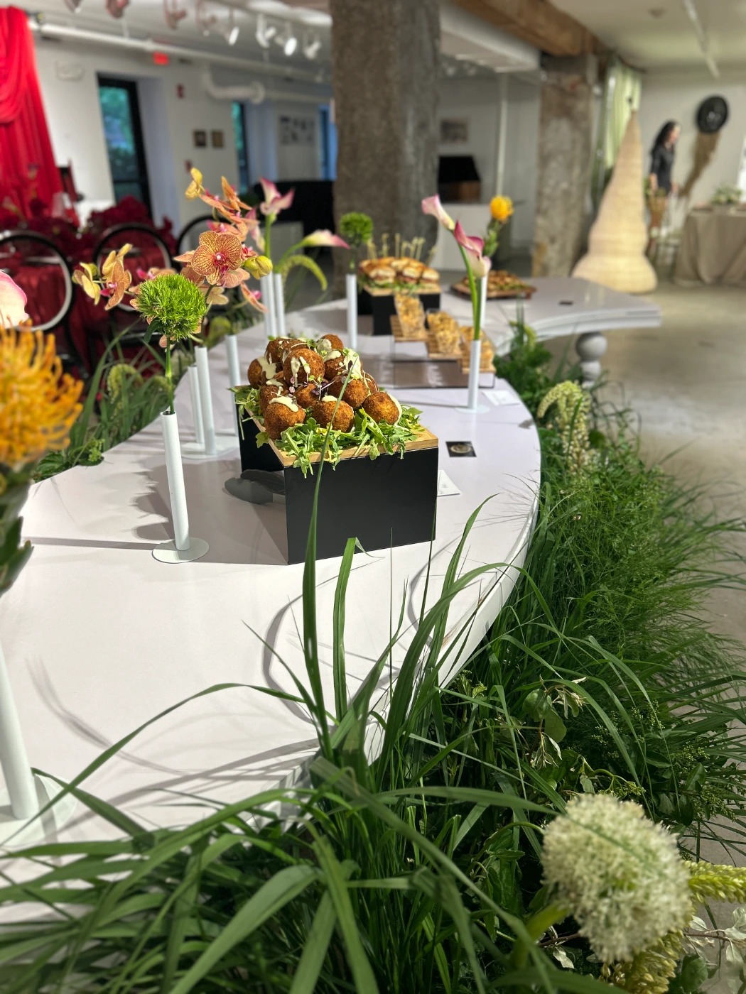 IMG_0088.jpg IMG_0088.jpg