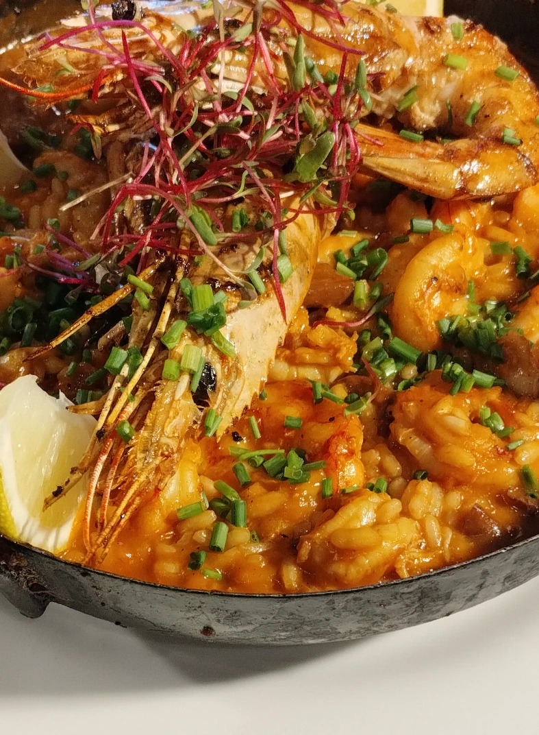 IMG_20240128_154936879.jpg IMG_20240128_154936879.jpg