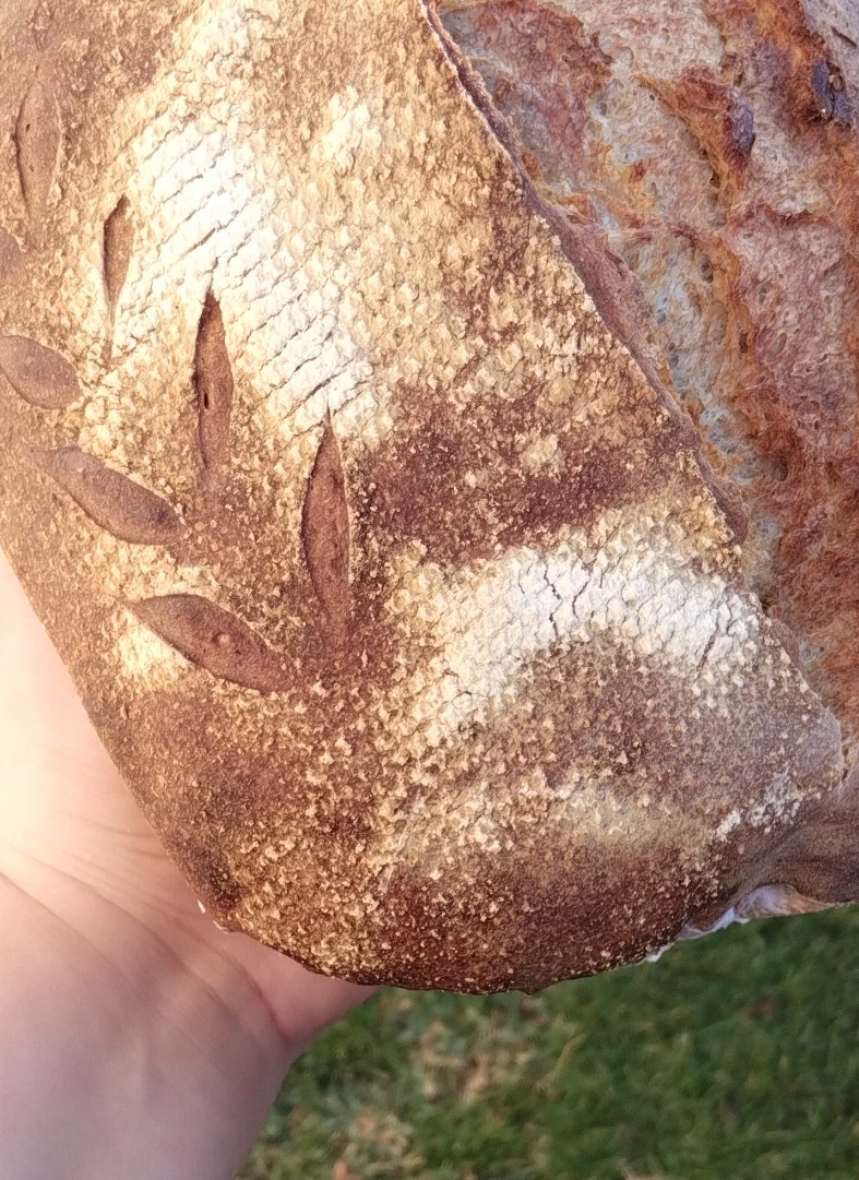 IMG_20240705_102208897.jpg IMG_20240705_102208897.jpg