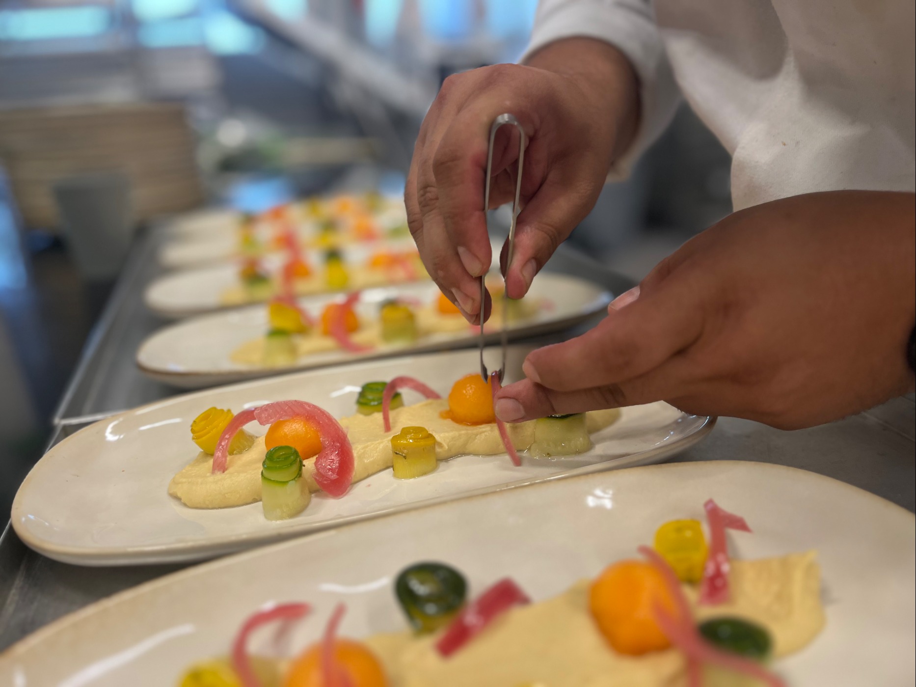 IMG_0301.jpeg IMG_0301.jpeg