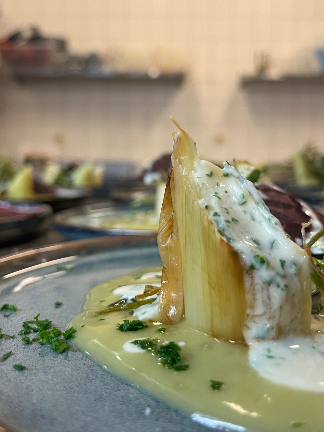 IMG_0452.jpeg IMG_0452.jpeg