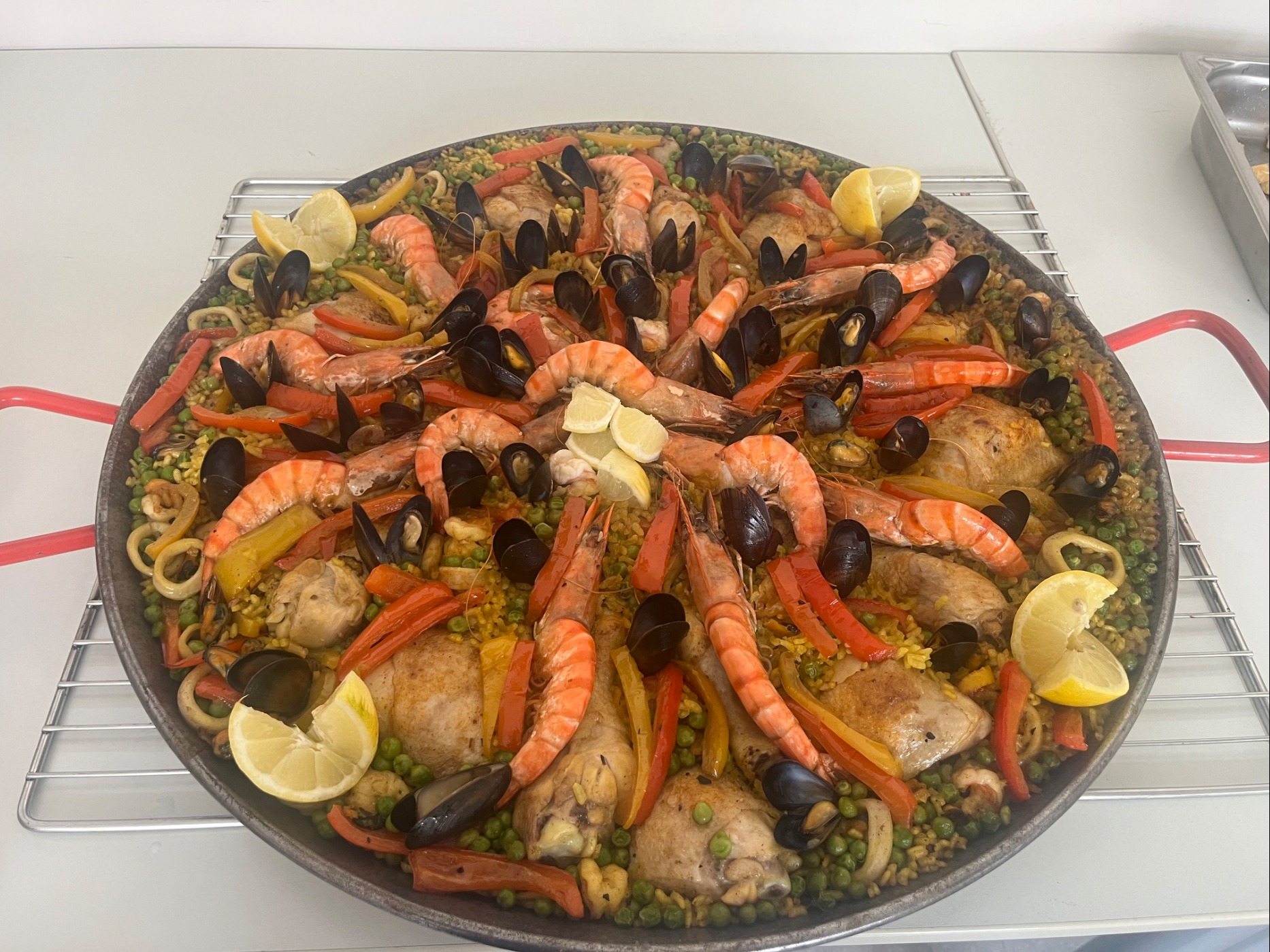 IMG_7979.jpeg IMG_7979.jpeg