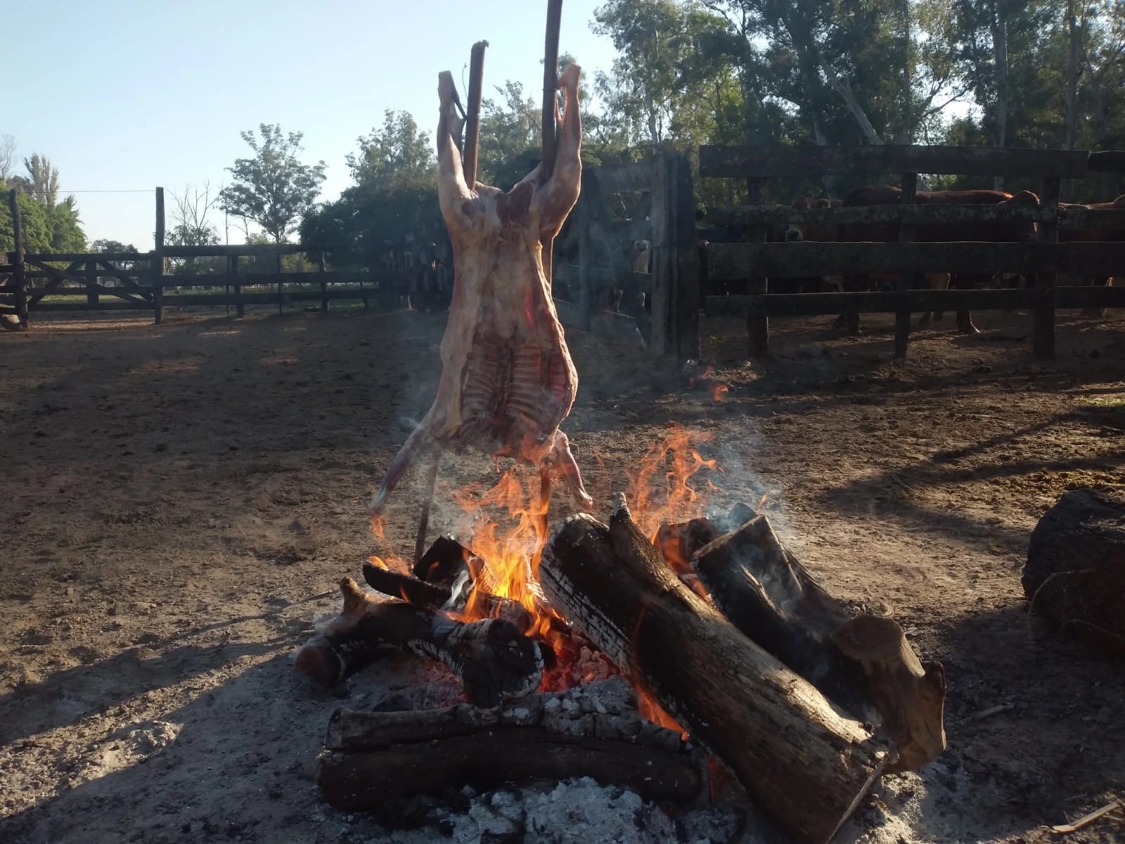 IMG-20230518-WA0010.jpg IMG-20230518-WA0010.jpg